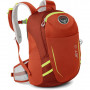 Рюкзак Osprey Jet 12 Strawberry Red O/S красный фото 0