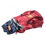 Рюкзак Deuter Waldfuchs цвет 5527 cardinal-maron фото 3