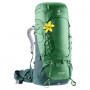 Рюкзак Deuter Aircontact 60 + 10 SL цвет 2238 leaf-forest фото 0