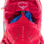 Рюкзак Osprey Raptor 10 Cedar Green  O/S зелений фото 7