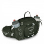 Сумка на пояс Osprey Talon 6 Yerba Green O/S зеленая фото 0