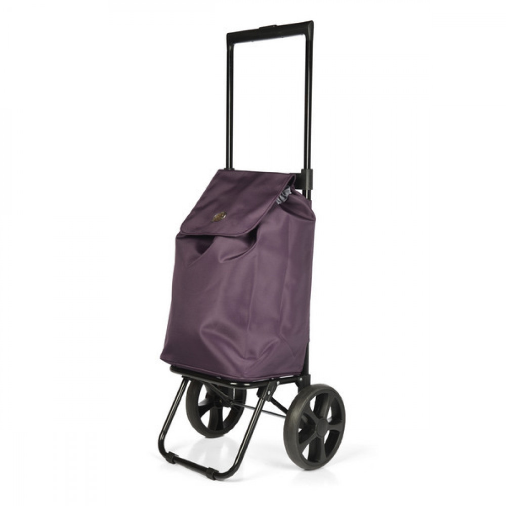 Фото Сумка-візок Epic City X Shopper Evolution 33 Red Plum