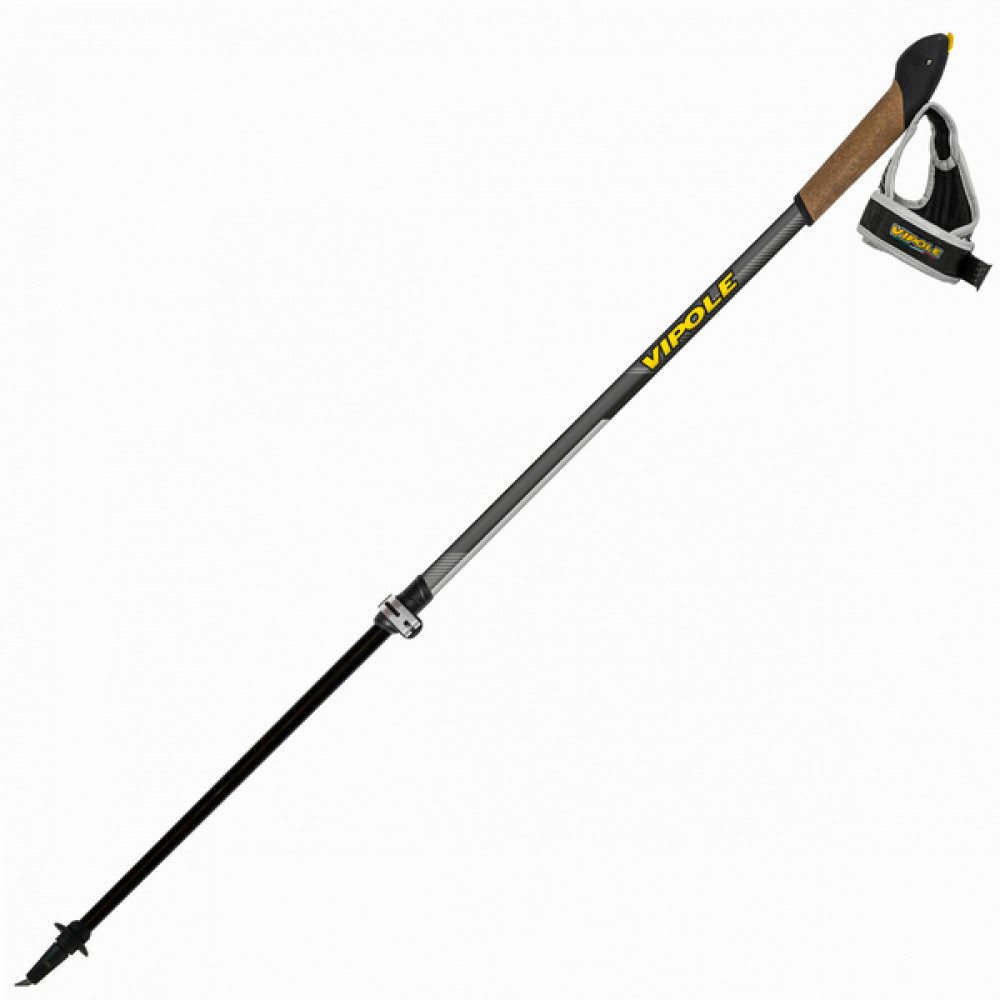Фото Палиці для скандинавської ходьби Vipole Instructor Vario Top-Click QL K.T. Dark DLX S1943