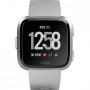 Розумний годинник FitBit FB505SRGY Versa Gray/Silver Aluminum фото 0