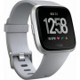 Розумний годинник FitBit FB505SRGY Versa Gray/Silver Aluminum фото 2