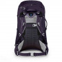 Рюкзак Osprey Fairview Trek 50 SAMPLE (F19) Amulet Purple O/S, фиолетовый фото 4