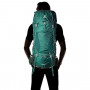 Рюкзак Deuter Aircontact Lite 50+10 цвет 2231 alpinegreen-forest фото 5