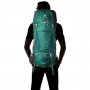 Рюкзак Deuter Aircontact Lite 65+10 цвет 2231 alpinegreen-forest фото 5