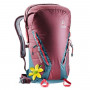 Рюкзак Deuter Gravity Rock&Roll 28 SL цвет 5324 maron-arctic фото 0