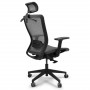 Эргономичное офисное кресло Loctek YZ102 фото 2