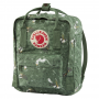 Рюкзак Fjallraven Kanken Art Mini Green Fable фото 0