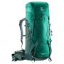 Рюкзак Deuter Aircontact Lite 65+10 цвет 2231 alpinegreen-forest фото 0