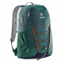 Рюкзак Deuter Gogo цвет 2322 alpengreen-navy фото 0