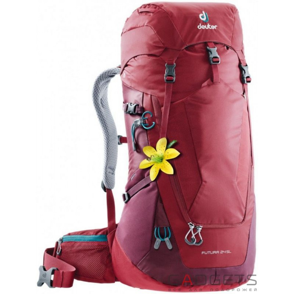 Фото Рюкзак Deuter Futura 24 SL цвет 5528 cranberry-maron