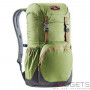 Рюкзак Deuter Walker 20 колір 2443 pine-graphite фото 0