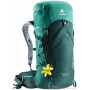Рюкзак Deuter Speed Lite 24 SL цвет 2235 forest-alpinegreen фото 0