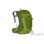 Рюкзак Osprey Sirrus 24 Thyme Green WS/WM, зеленый фото 0