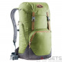 Рюкзак Deuter Walker 24 колір 2443 pine-graphite фото 0
