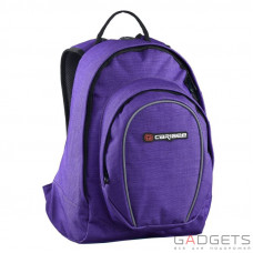 Рюкзак городской Caribee Spice 20 Mulberry