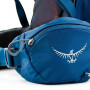 Рюкзак Osprey Kestrel 38 Black S/M черный фото 10