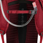 Рюкзак Osprey Siskin 12 Obsidian Black O/S черный фото 4