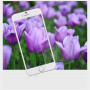 Защитное стекло Baseus Clear Film Screen Guard for iPhone6/iPhone6S фото 2