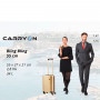 Валіза CarryOn Bling Bling (S) Champagne фото 3