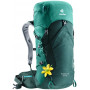 Рюкзак Deuter Speed Lite 24 SL цвет 2235 forest-alpinegreen фото 1
