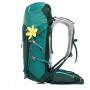 Рюкзак Deuter Speed Lite 24 SL цвет 2235 forest-alpinegreen фото 4