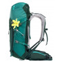 Рюкзак Deuter Speed Lite 30 SL цвет 2235 forest-alpinegreen фото 3