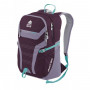 Рюкзак городской Granite Gear Champ 29 Gooseberry/Lilac/Stratos фото 1