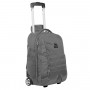 Сумка-рюкзак на колесах Granite Gear Haulsted Wheeled 33 Flint фото 1