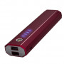 Внешний аккумулятор iWALK Extreme 1000Duo 10000mAh Dual USB Universal Backup Battery Gold фото 1