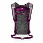 Рюкзак Osprey Daylite 13 Eggplant Purple O/S фиолетовый фото 4