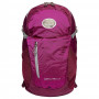 Рюкзак Osprey Daylite Plus 20 Eggplant Purple O/S фиолетовый фото 2