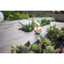 Мини-робот Sphero BB-8 Droid фото 7