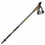 Палиці для скандинавської ходьби Vipole Trail Carbon Top-Click DLX S1867 фото 1