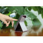 Чехол Macally Flip Case with Rotatable Stand for iPhone 5C (SSTANDP6-BU) фото 5