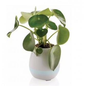 Акустична колонка XD Design Flowerpot