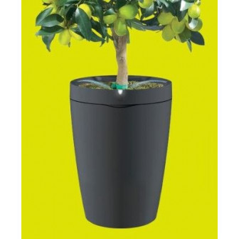 Parrot Pot - умный горшок для комнатных растений