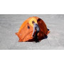 Намет Ferrino Lhotse 4 (8000) Orange