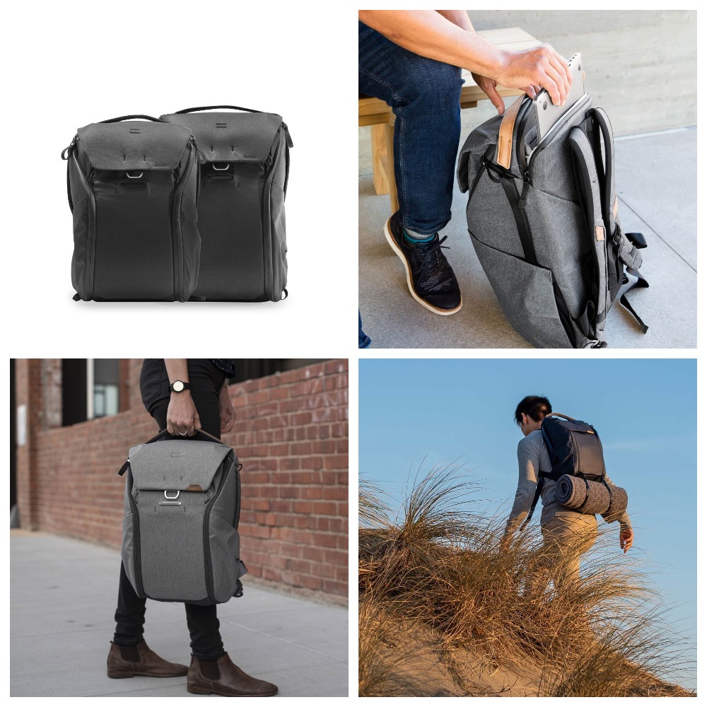Everyday Backpack v. 2